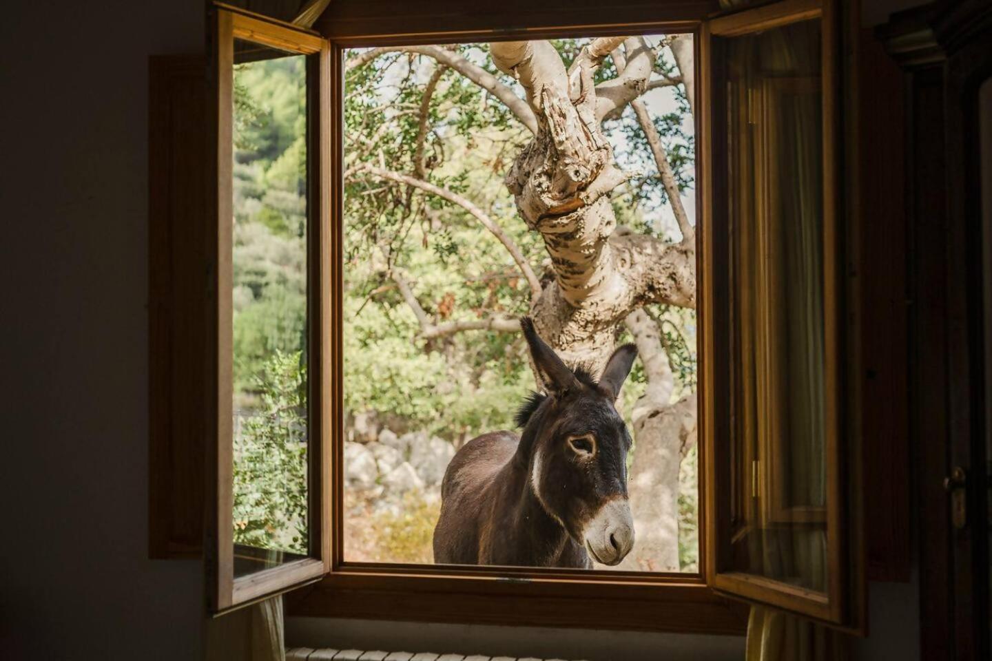 Вилла Casa Tramuntana Вальдемоса Номер фото