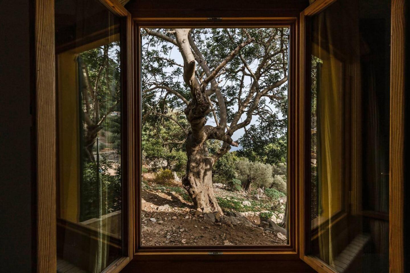 Вилла Casa Tramuntana Вальдемоса Номер фото